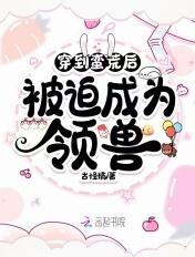 大明终极玩家免费观看